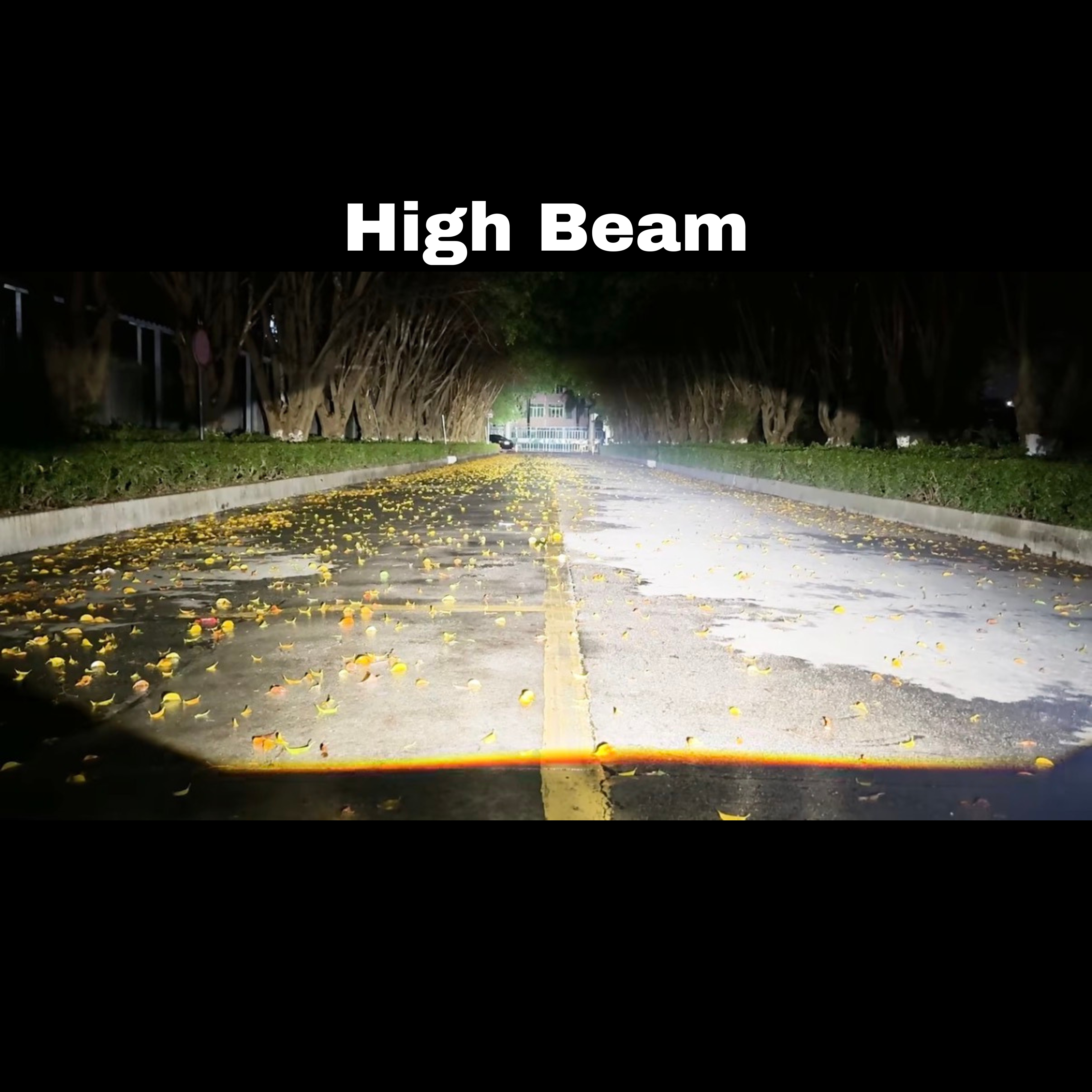 3 Inch Projector Fog Lamp 150W CLP3010 | 2026 Version