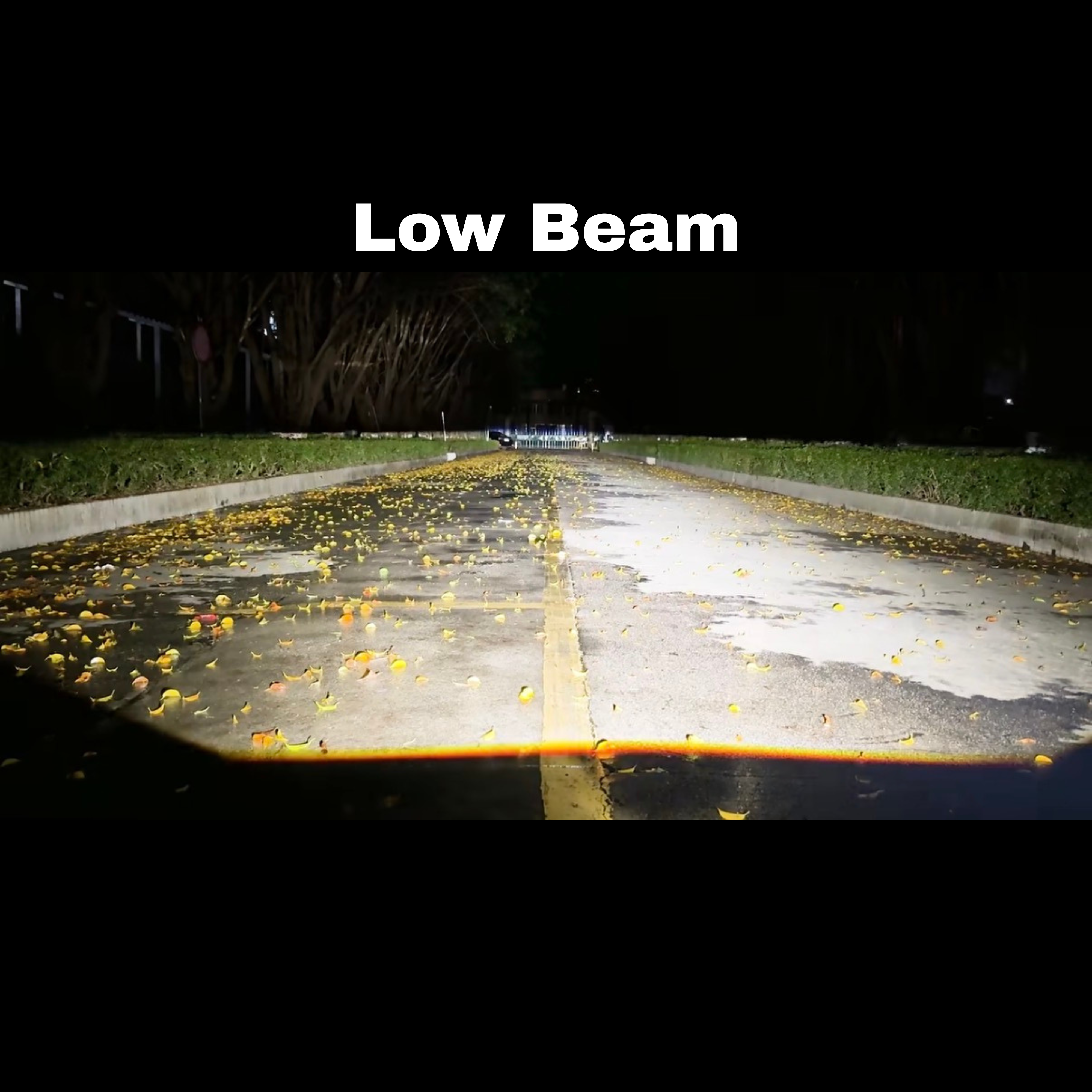 3 Inch Projector Fog Lamp 150W CLP3010 | 2026 Version